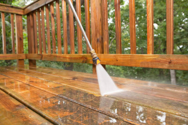 Best Affordable Power Washing  in Mount Vernon, VA